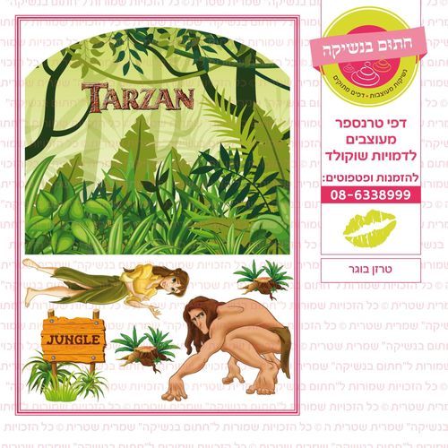 טרזן בוגר