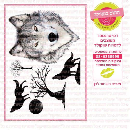 זאבים בשחור לבן