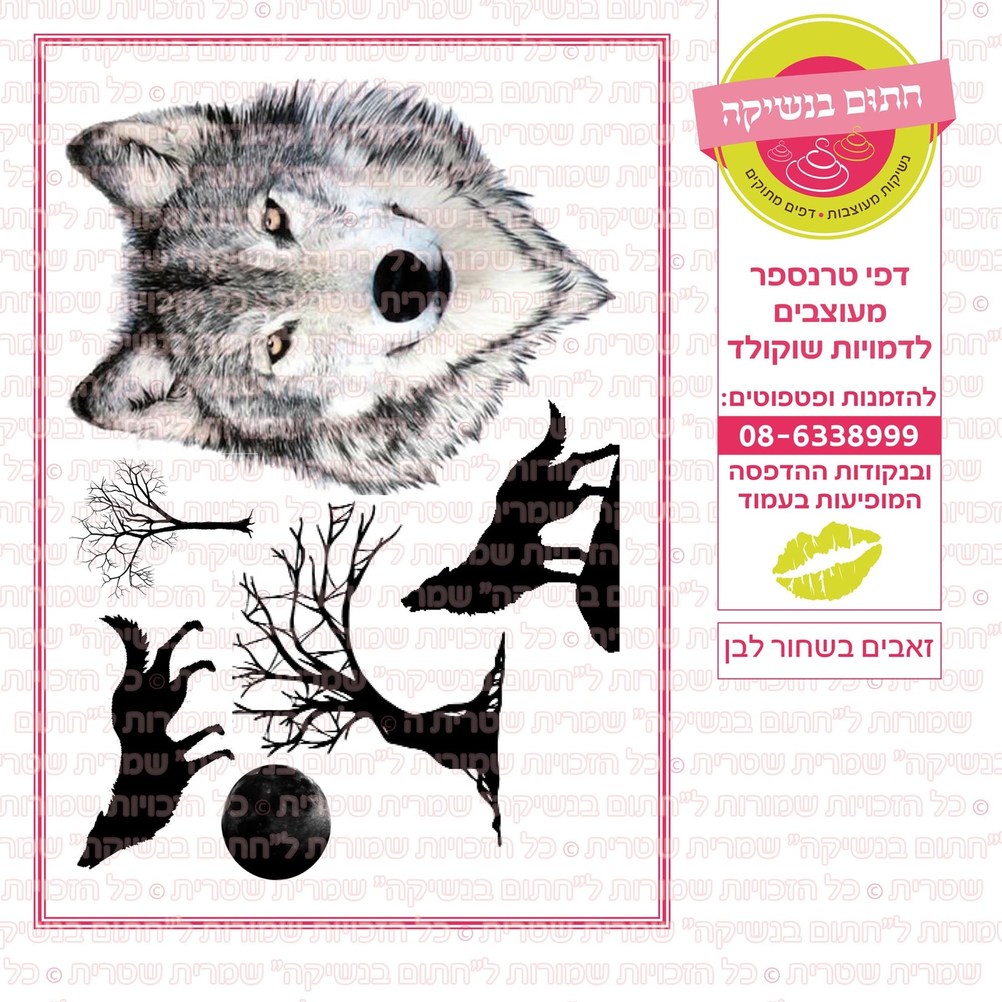 זאבים בשחור לבן