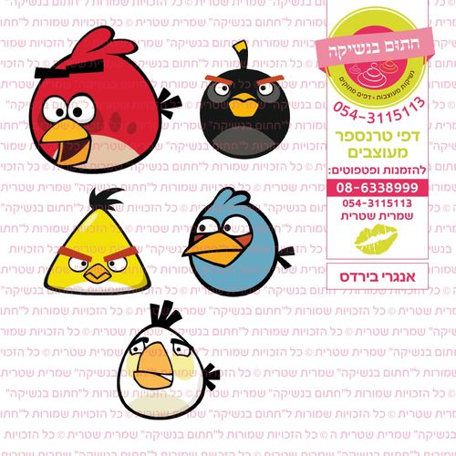 אנגרי בירדס