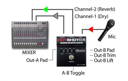 בורר מיקרופון לשתי יציאות Radial HotShot ABo***