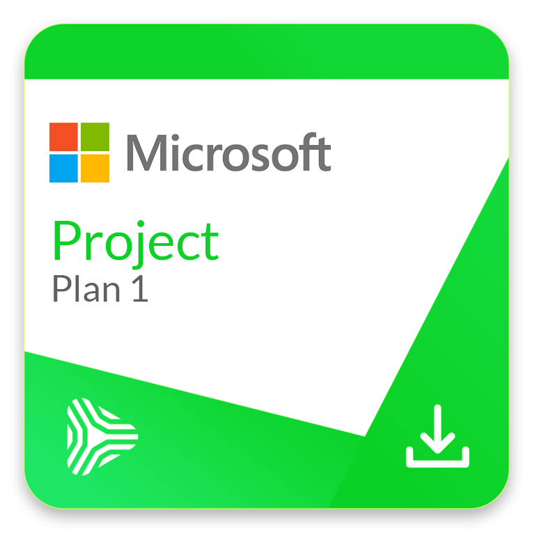 Microsoft Project Plan 1 לשנה