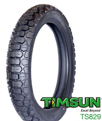TIMSUN TS 829