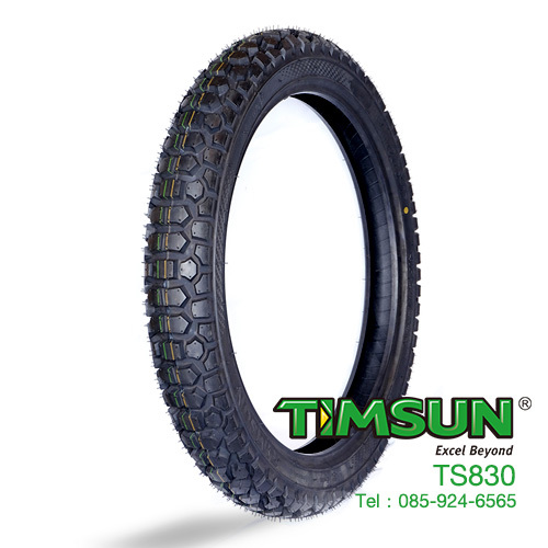 TIMSUN TS 830