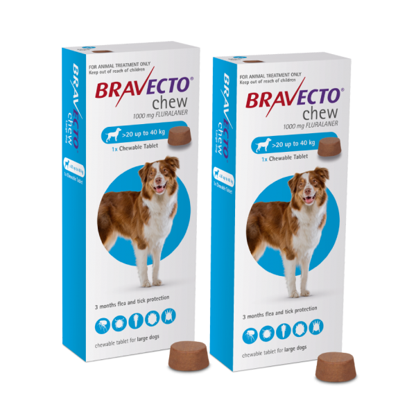 זוג ברבקטו כדור נגד פרעושים וקרציות 20-40 BRAVECTO תוקף 10/27