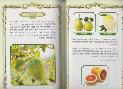 מרפא הבשם