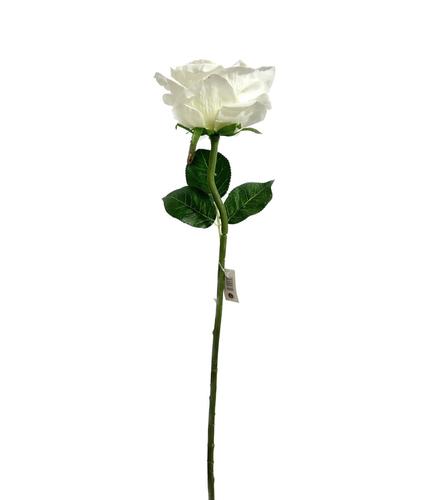 ענף ורד קטיפה פתוח ק.14ס