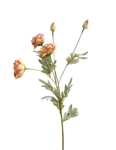 ענף נוריות *3 + 2 ניצנים ג. 80 ס