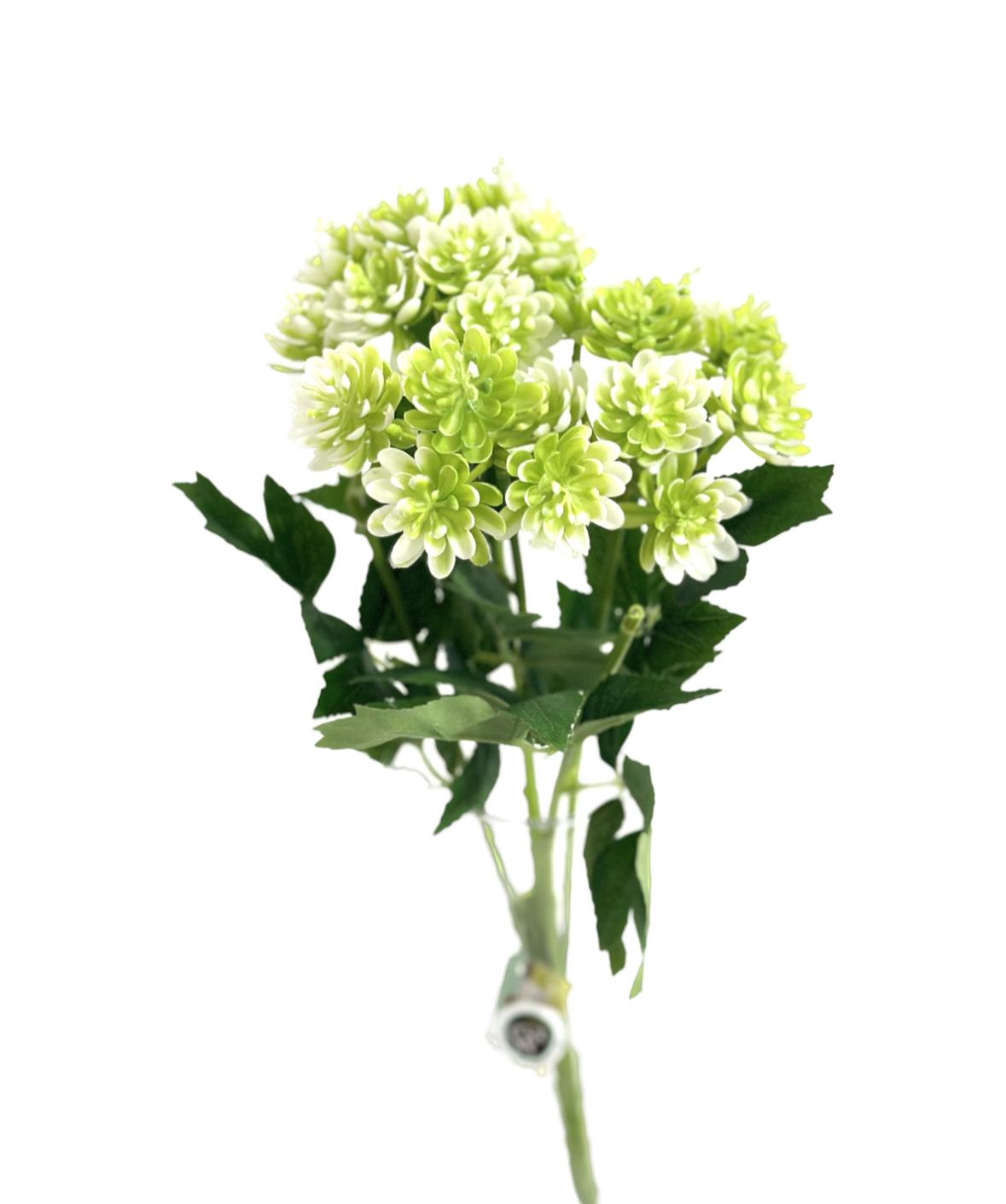 זר סוקולנט *5 פלסטי - לבן  