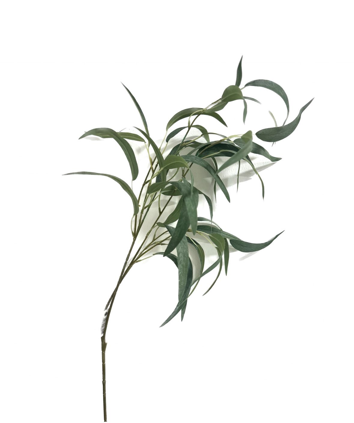 ענף עלי ערבי נחל ג. 105 ס"מ 