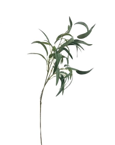ענף עלי ערבי נחל ג. 105 ס