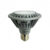 נורת פאר 30 לד 13W