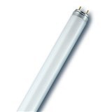 25 נורות פלורסנט OSRAM T8 36W