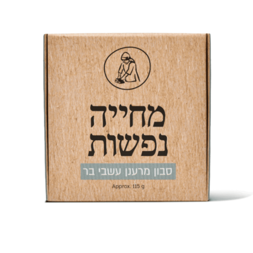 סבון מוצק מרענן עשבי בר | מיכל סבון טבעי