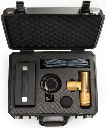 זוית נוספת Warm Audio WA-8000 Gold