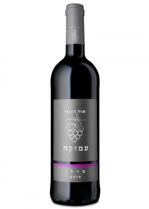 אור הגנוז עמוקה מרלו