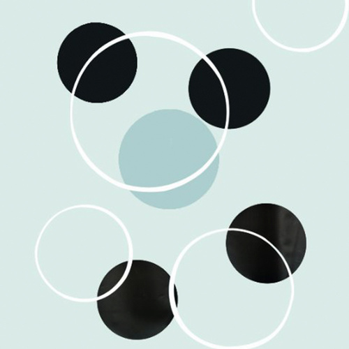 וילון BUBBLE 180X200 - 13043 שחור Spirella