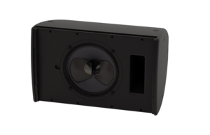 רמקול פאסיבי CDD10 MARTIN AUDIO