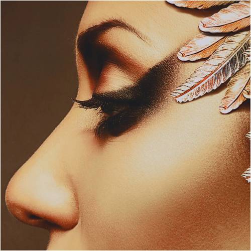 יצירת אומנות קטיפה פרופיל בלרינה זהב Golden Feather Ballerina Velvet Wall     