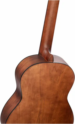 גיטרה קלאסית Ortega R55BFT Bourbon Fade