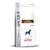 רויאל קנין גסטרו אינטסטינל לכלב 2 ק''ג Royal Canin Gastro Intestinal