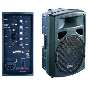 רמקול מוגבר 10", 250WATT SK FP0210A