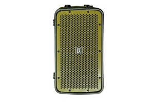 רמקול מוגבר db1100-MP3II