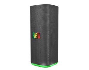 רמקול נייד עם מיקרופון מובנה RASTA BOX-10