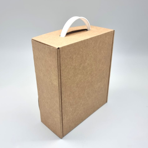 קופסת משלוחים מזוודה+ידית 19X22+8