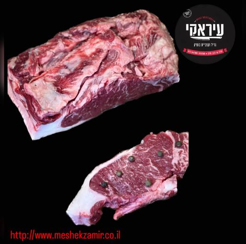 סינטה מבכירה משוישת