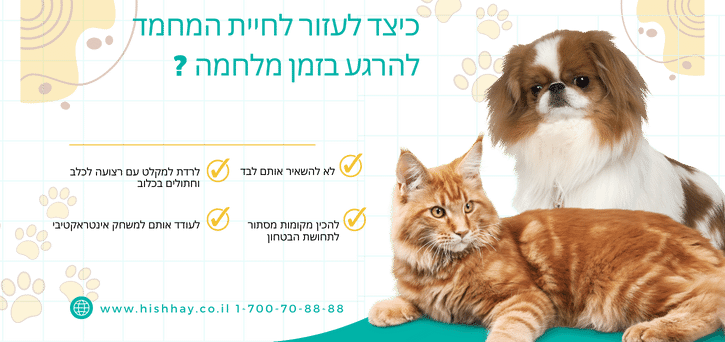מדינה במלחמה - חיות מחמד 