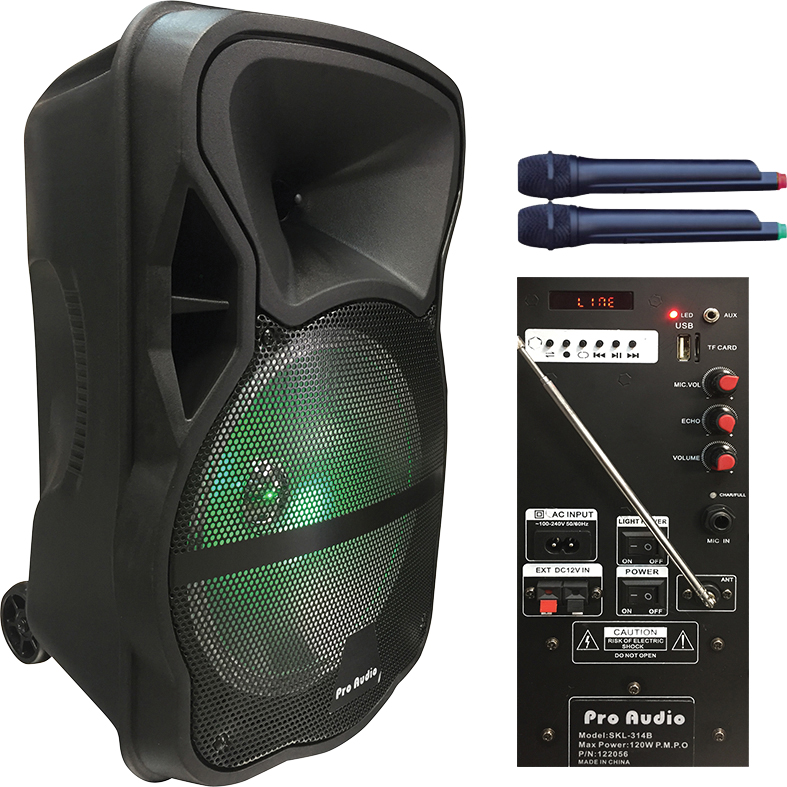 בידורית אלחוטית נטענת PROAUDIO SKL-314B.