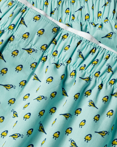  תחתוני בוקסר - Aqua green a little bird told me