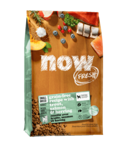 נאו בוגר דגים מיני 10 ק"ג Now Fresh Small Breed Fish