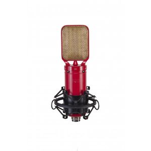 מיקרופון Ribbon מקצועי Eikon RM8