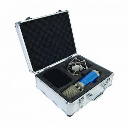מיקרופון Ribbon מקצועי Eikon C14