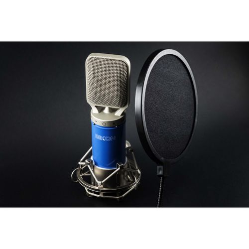 מיקרופון Ribbon מקצועי Eikon C14