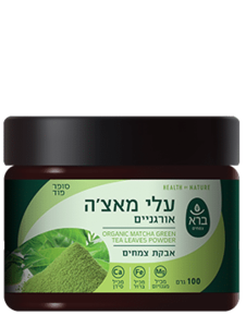עלי מאצ
