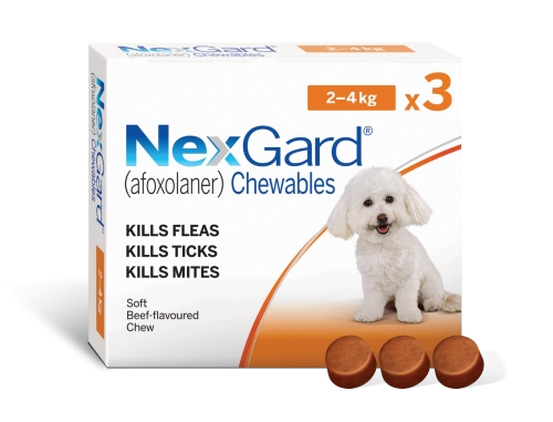 נקסגארד כדור נגד פרעושים וקרציות 2-4 ק"ג NexGard תוקף 05/27