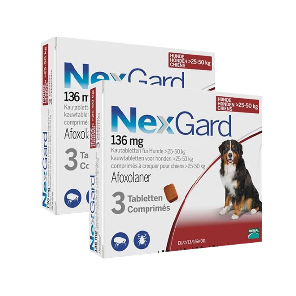 זוג נקסגארד כדור נגד פרעושים וקרציות 25-50 ק"ג NexGard תוקף 07/27
