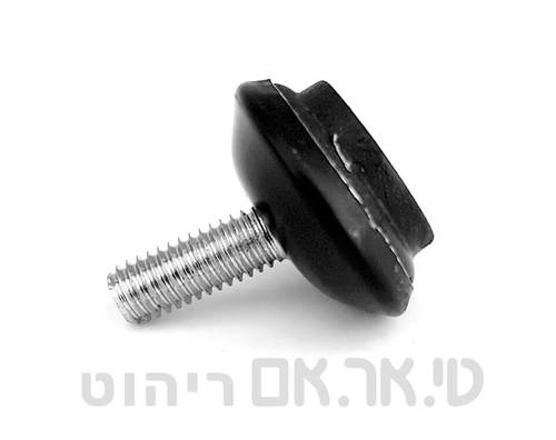 רגלית 
