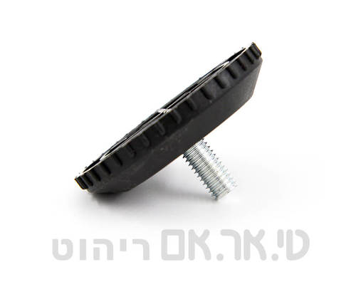 רגלית