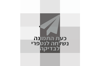  מיקרופון רב תכליתי עם ארבעה מצבי צליל Aston Microphones STE