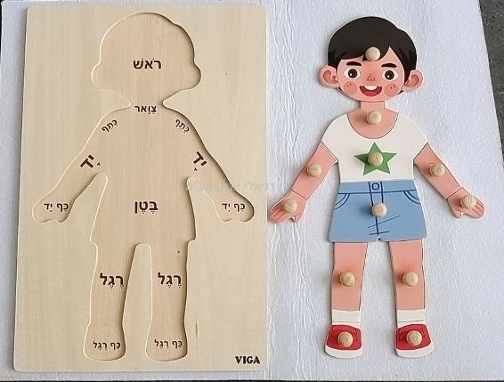 פאזל גדול מעץ 12 חלקים עם כתוביות בעברית גוף האדם בן - ויגה
