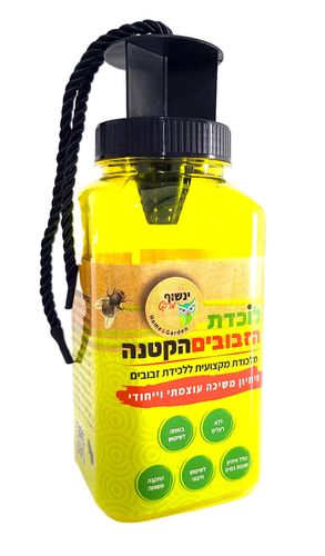 לוכדת הזבובים הקטנה