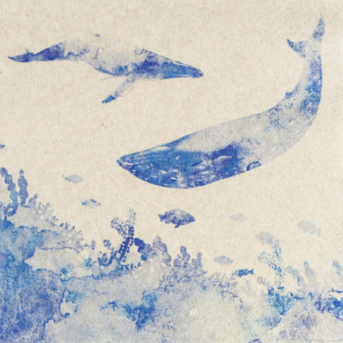 מפיות נייר 20 יח' Whales