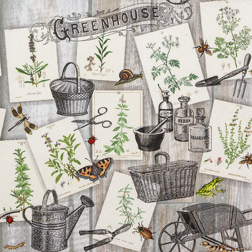 מפיות נייר 20 יח' Green House