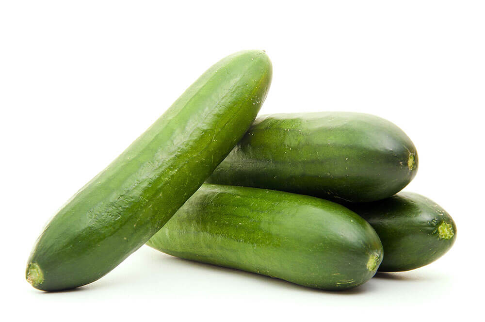 זרעים לגידול מלפפון אורגניים