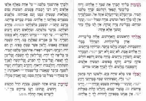 נשמת כל חי-דגם נבל
