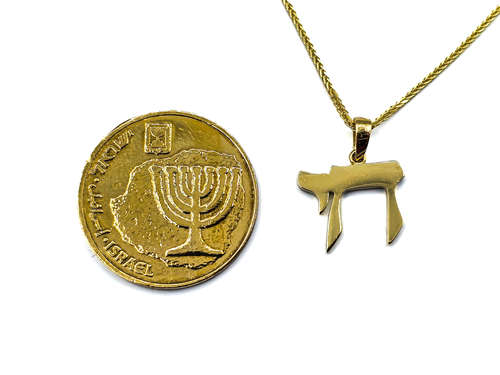 שרשרת חי חלק בינוני